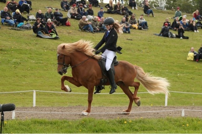 Tenór frá Litlu-Sandvík